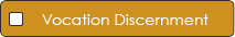 Vocation Discernment